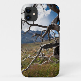 Capa Para iPhone Da Case-Mate Parque Nacional Torres del Paine, árvores danifica