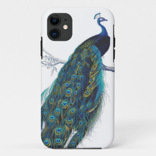 Capa Para iPhone Da Case-Mate Pavão azul com as penas de cauda bonitas