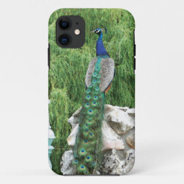 Capa Para iPhone Da Case-Mate Pavão em uma caixa do SE do iPhone do jardim