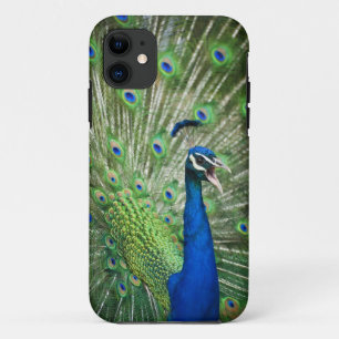 Capa Para iPhone Da Case-Mate Pavão gritando