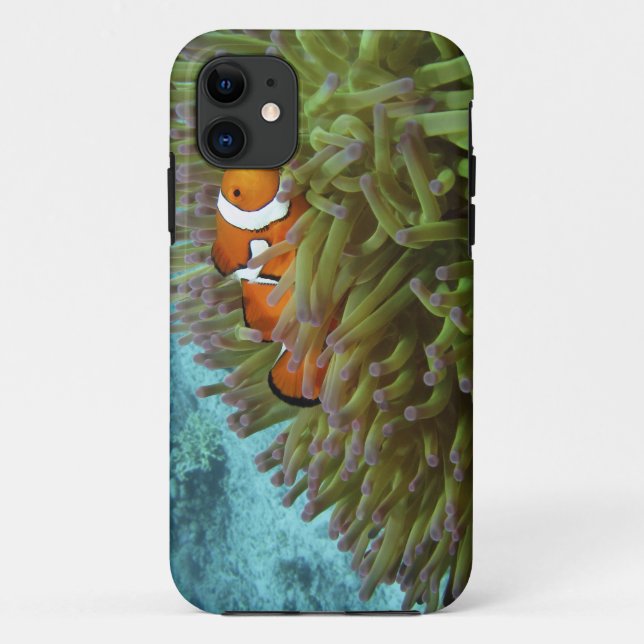 Capa Para iPhone Da Case-Mate Peixe-palheiro ocidental ( Amphiprion ocellaris ) (Verso)