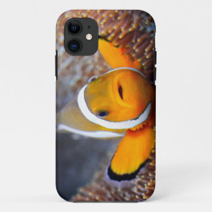 Capa Para iPhone Da Case-Mate Peixes tropicais do recife - Clownfish