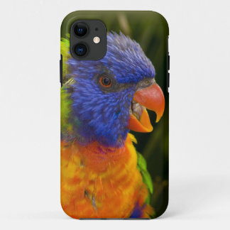 Capa Para iPhone Da Case-Mate periquito colorido