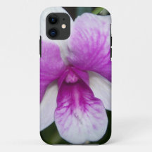 perto de uma linda orquídea roxa e branca