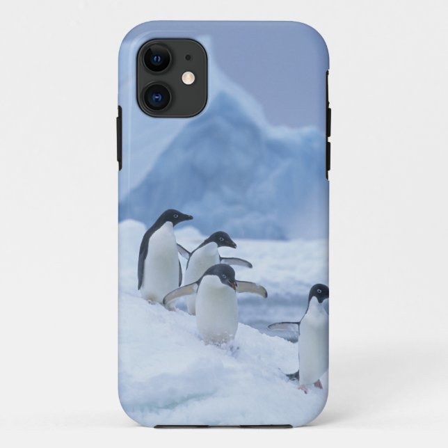 Capa Para iPhone Da Case-Mate Pinguins-de-adélia (Pygoscelis adeliae) no gelo, (Verso)