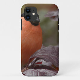 Capa Para iPhone Da Case-Mate Pintassilgo-real