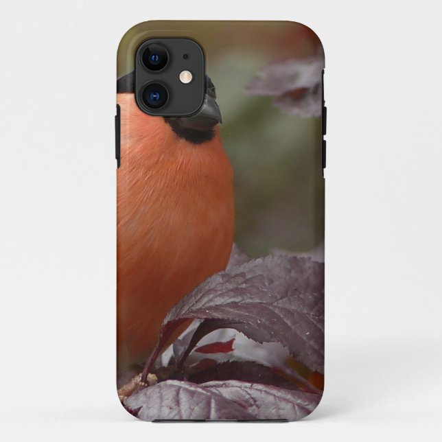 Capa Para iPhone Da Case-Mate Pintassilgo-real (Verso)