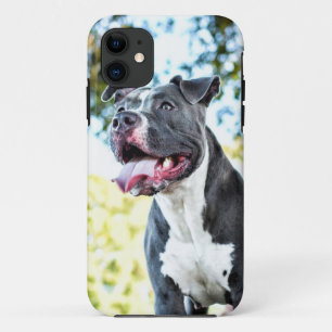 Capa Para iPhone Da Case-Mate Pitbull