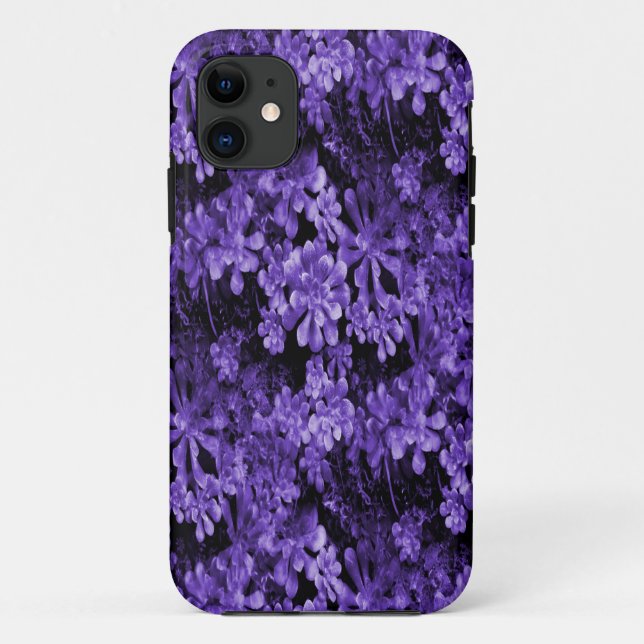 Capa Para iPhone Da Case-Mate Purklin' Along... (Verso)