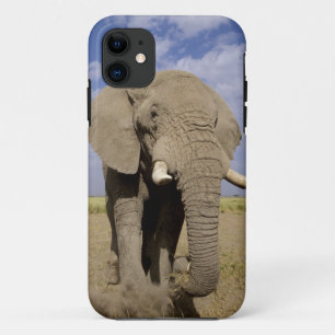 Capa Para iPhone Da Case-Mate Quênia: Parque Nacional de Amboseli, elefante masc