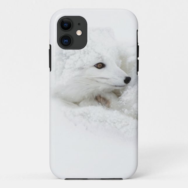 Capa Para iPhone Da Case-Mate Raposa Árctica enrolada no inverno (Verso)