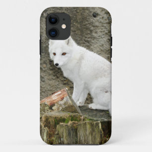 Capa Para iPhone Da Case-Mate Raposa ártica branca