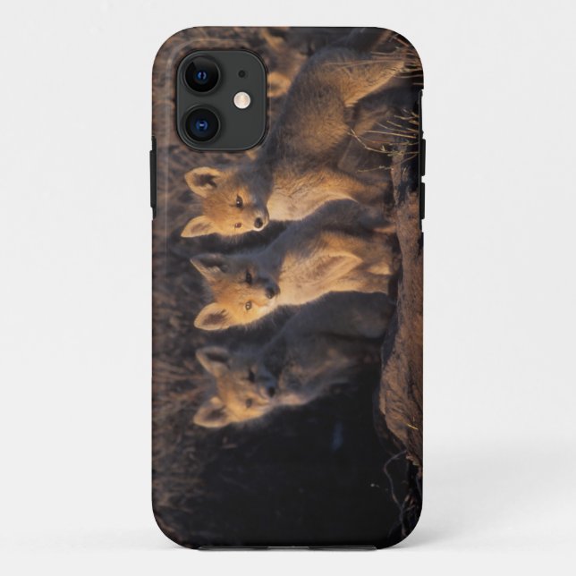 Capa Para iPhone Da Case-Mate raposa-vermelha, Vulpes vulpes, filhotes (Verso)