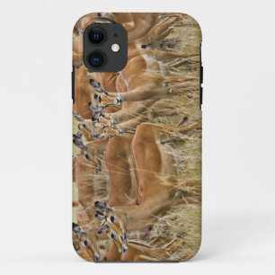 Capa Para iPhone Da Case-Mate Rebanho de impalas fêmeas, Masai Mara, Quênia.