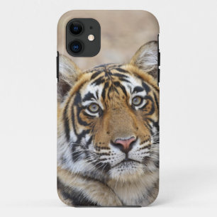 Capa Para iPhone Da Case-Mate Retrato do Tigre-de-bengala-real, Ranthambhor