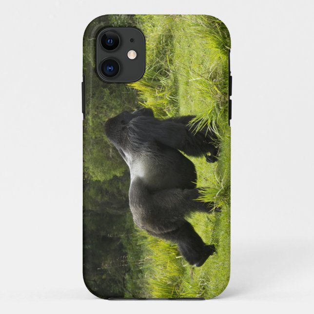 Capa Para iPhone Da Case-Mate Ruanda, Parque Nacional dos Vulcões (Verso)