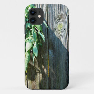 Capa Para iPhone Da Case-Mate Sage Barn-wood, recortada recentemente
