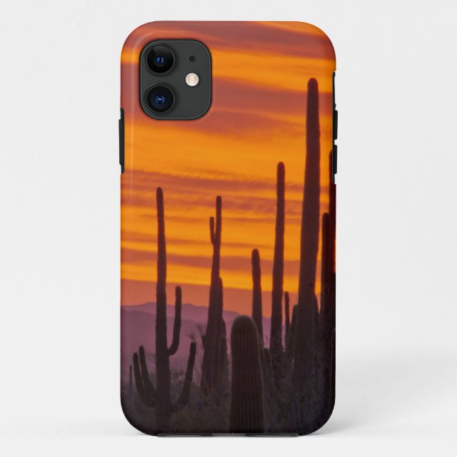 Capa Para iPhone Da Case-Mate Saguaro, pôr do sol, Parque Nacional Saguaro (Verso)