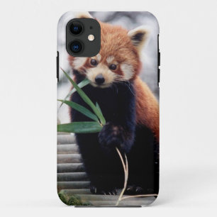 Capa Para iPhone Da Case-Mate Salvar a caixa do iPhone 5/5S da panda vermelha