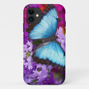 Capa Para iPhone Da Case-Mate Sammamish Washington Borboleta Tropical