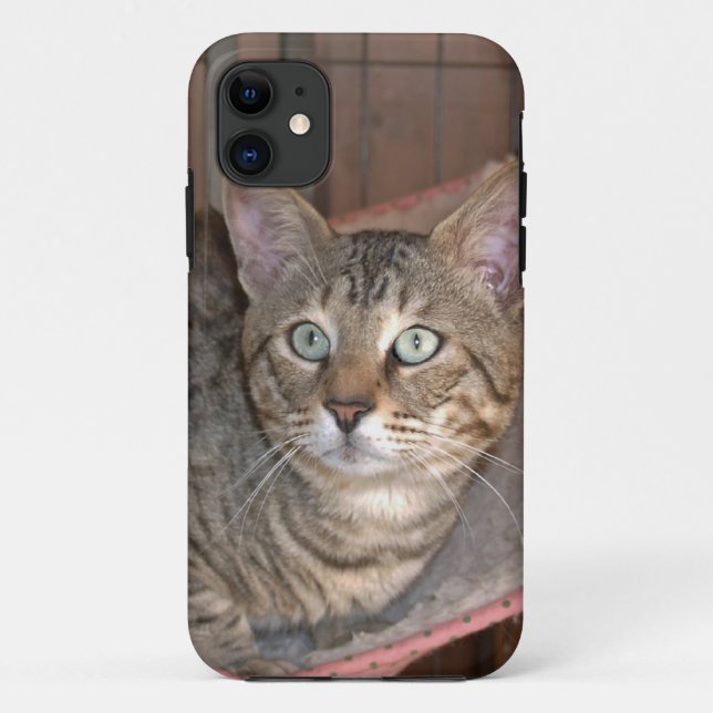 Capa Para iPhone Da Case-Mate Savannah Cat iPhone 5 (Verso)