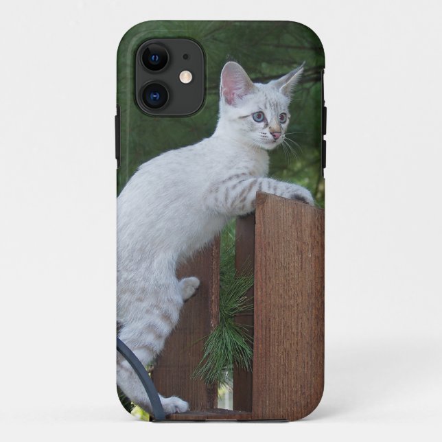 Capa Para iPhone Da Case-Mate Savannah Cat iPhone 5 Case-Mate mal lá (Verso)