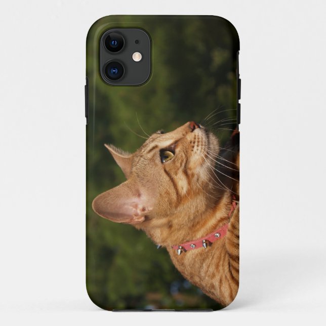 Capa Para iPhone Da Case-Mate Savannah Cat iPhone 5 Identificação personalizada  (Verso)