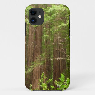 Capa Para iPhone Da Case-Mate Sequoias Vermelhas no Monumento Nacional de Muir W