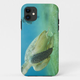 Capa Para iPhone Da Case-Mate Tartaruga