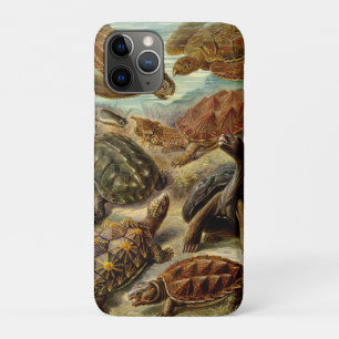 Capa Para iPhone Da Case-Mate Tartaruga (Chelonia) por Haeckel