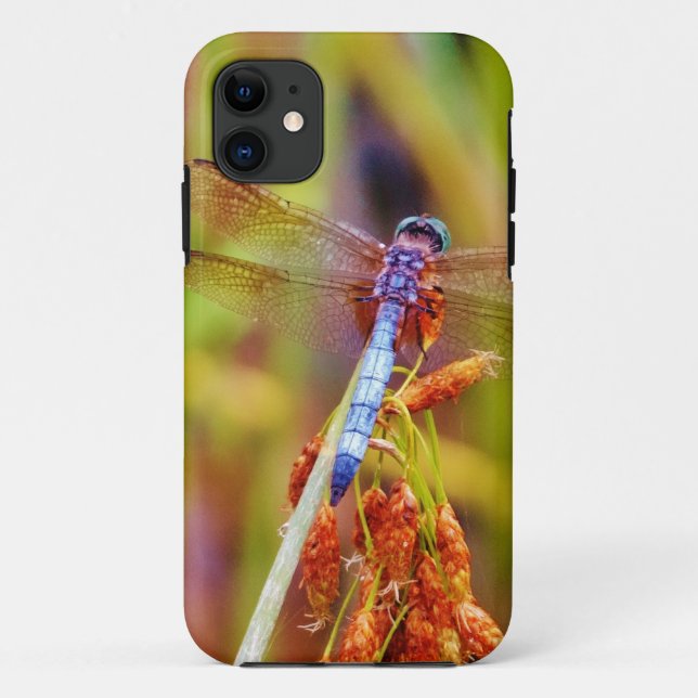 Capa Para iPhone Da Case-Mate Teal Dragonfly na borda (Verso)