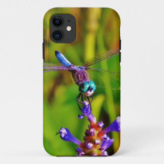 Capa Para iPhone Da Case-Mate Teal Rainbow Dragonfly