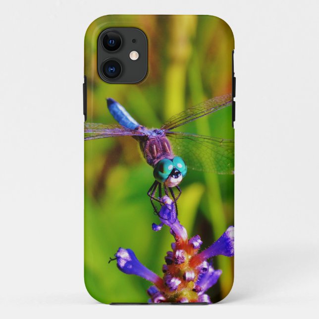 Capa Para iPhone Da Case-Mate Teal Rainbow Dragonfly (Verso)