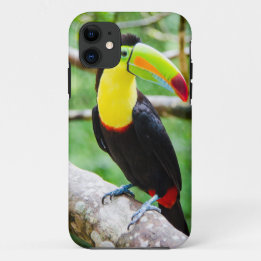 Capa Para iPhone Da Case-Mate Toucan bonito