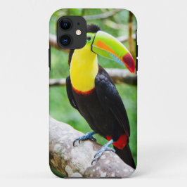 Capa Para iPhone Da Case-Mate Toucan bonito