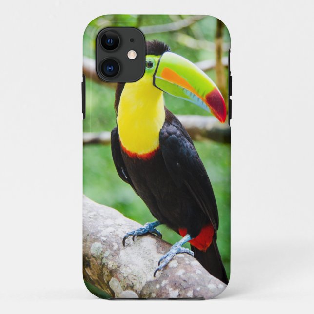 Capa Para iPhone Da Case-Mate Toucan bonito (Verso)