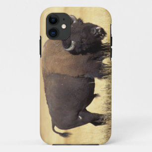 Capa Para iPhone Da Case-Mate Touro de Bisão no Parque Nacional de Yellowstone