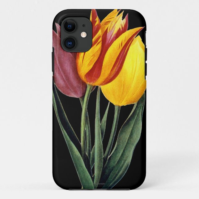 Capa Para iPhone Da Case-Mate Tulipa (Tulipa Gesneriana) (Verso)