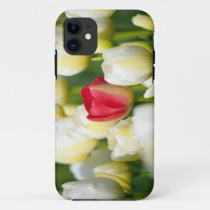 Capa Para iPhone Da Case-Mate Tulipa vermelha em um campo das tulipas brancas