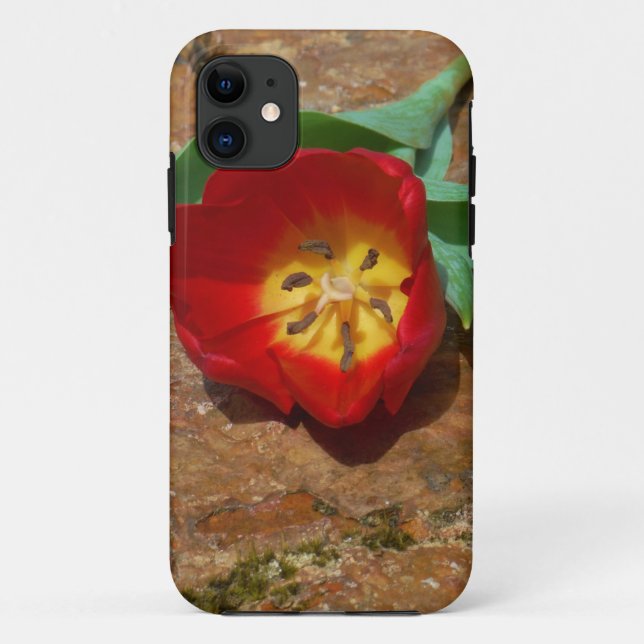 Capa Para iPhone Da Case-Mate Tulipa Vermelha primavera (Verso)