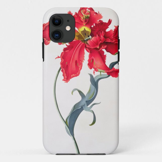 Capa Para iPhone Da Case-Mate Tulipa: Vermelho de Perroquet (Verso)