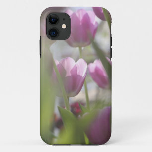 Capa Para iPhone Da Case-Mate Tulipas, Jardins Keukenhoff, Países Baixos.