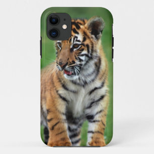 Capa Para iPhone Da Case-Mate Um tigre de bebê bonito