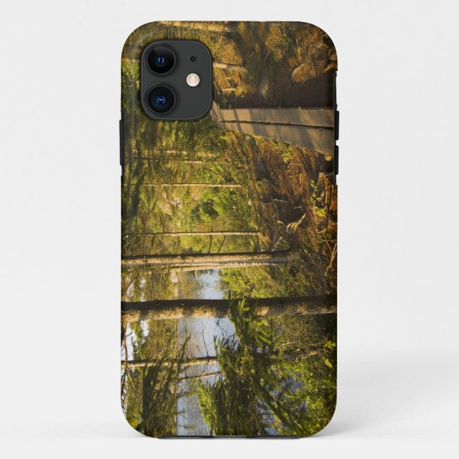 Capa Para iPhone Da Case-Mate Uma passarela de madeira no Parque Nacional Acadia (Verso)