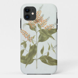 Capa Para iPhone Da Case-Mate Umtar (polystachya do Buddleia) (w/c sobre a