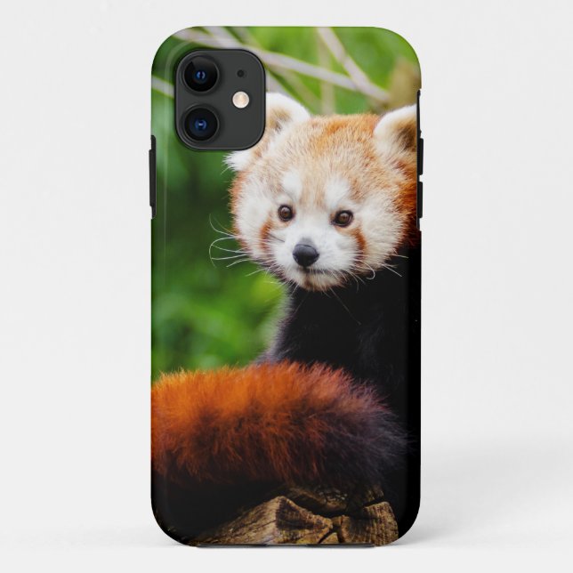 Capa Para iPhone Da Case-Mate Urso de panda vermelha bonito (Verso)