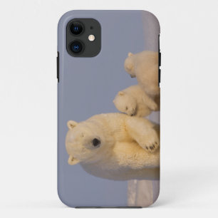 Capa Para iPhone Da Case-Mate urso polar, Ursus maritimus, fêmea com filhotes re