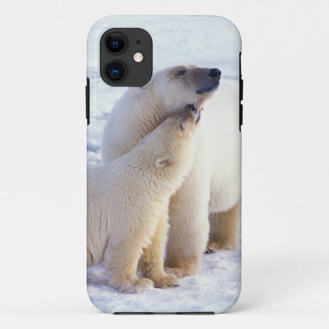 Capa Para iPhone Da Case-Mate Ursoaica com filhote, matilha (Verso)