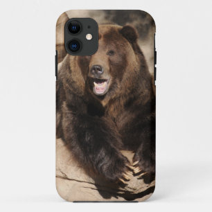 Capa Para iPhone Da Case-Mate Varrão do urso de urso