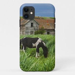 Capa Para iPhone Da Case-Mate Vendo cavalos em um campo no Palouse 2